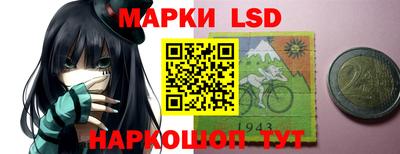 гидропоника Краснознаменск