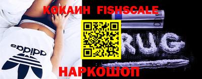 гидропоника Краснознаменск
