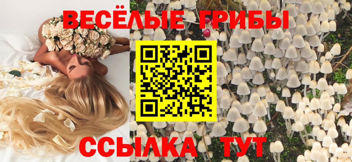 Галлюциногенные грибы прущие грибы Елабуга