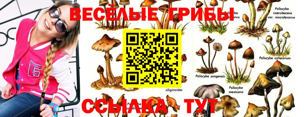 Галлюциногенные грибы мицелий  Вход с VPN  Елабуга 